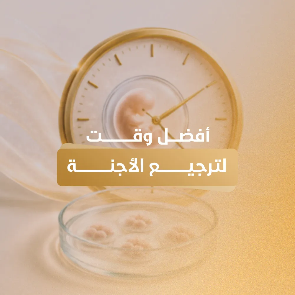 أفضل وقت لترجيع الأجنة