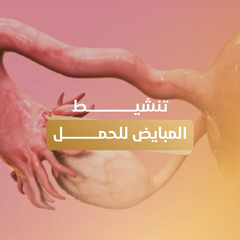 تنشيط المبايض للحمل